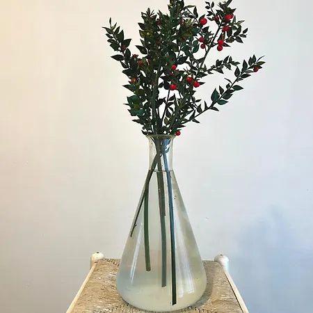 Il Fiume Azzurro 住宿加早餐酒店 卡斯特尔图-苏帕提茨诺