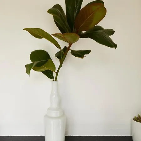 Couette-café Il Fiume Azzurro